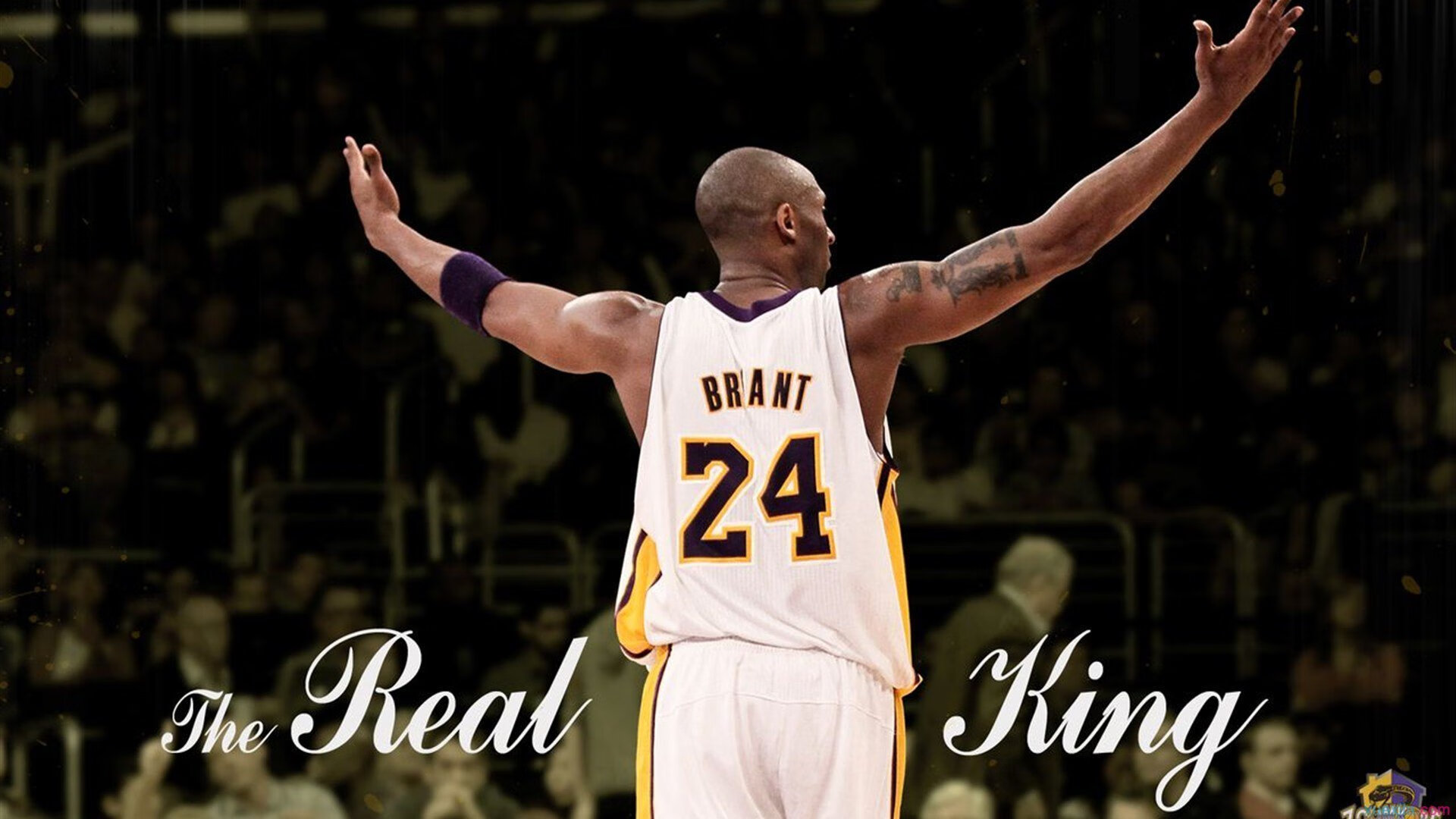 本周最佳表现：冠军车手专访，冠军车手失忆是什么电影