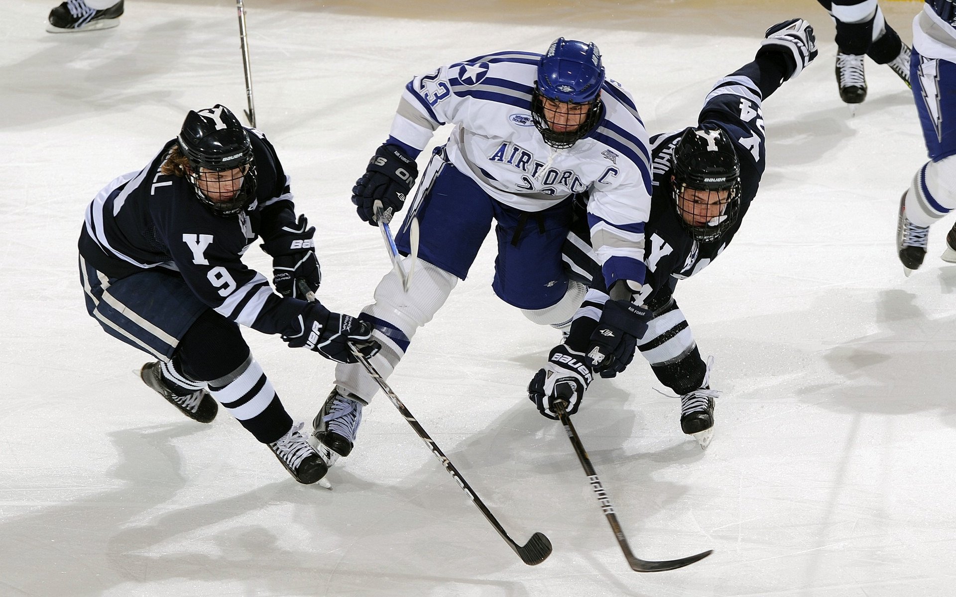 kaiyun体育app-球迷故事：最疯狂的支持和应援瞬间，球迷分享